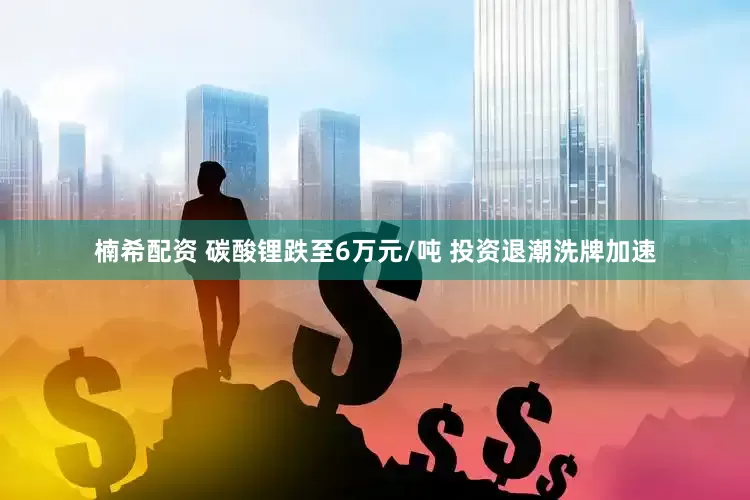 楠希配资 碳酸锂跌至6万元/吨 投资退潮洗牌加速