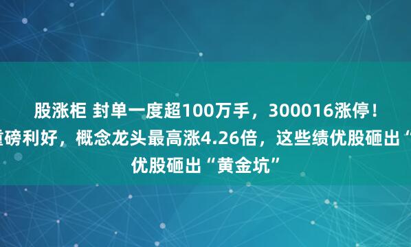 股涨柜 封单一度超100万手，300016涨停！创新药重磅利好，概念龙头最高涨4.26倍，这些绩优股砸出“黄金坑”