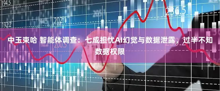 中玉束哈 智能体调查：七成担忧AI幻觉与数据泄露，过半不知数据权限