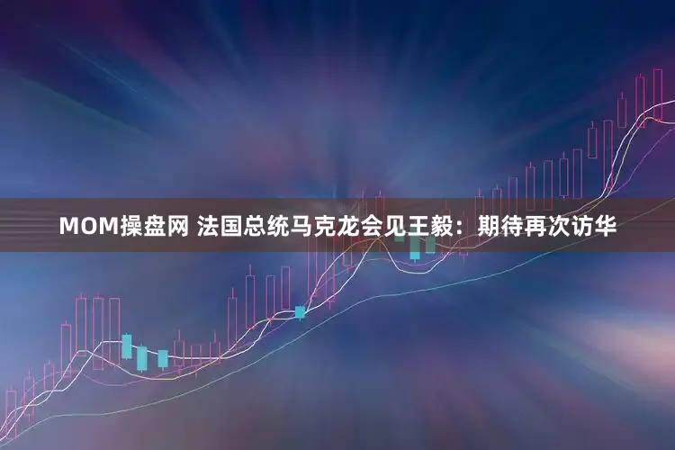 MOM操盘网 法国总统马克龙会见王毅：期待再次访华