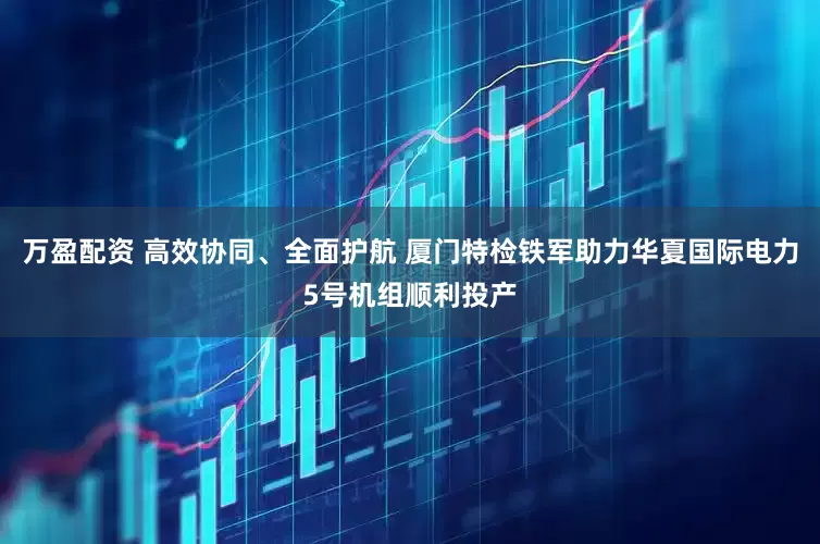 万盈配资 高效协同、全面护航 厦门特检铁军助力华夏国际电力5号机组顺利投产