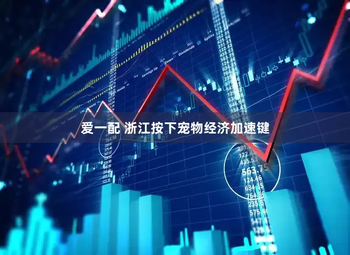 爱一配 浙江按下宠物经济加速键