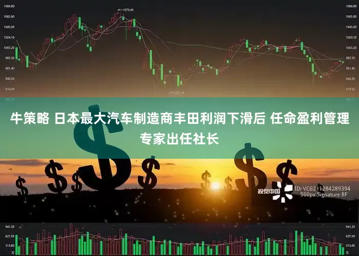 牛策略 日本最大汽车制造商丰田利润下滑后 任命盈利管理专家出任社长