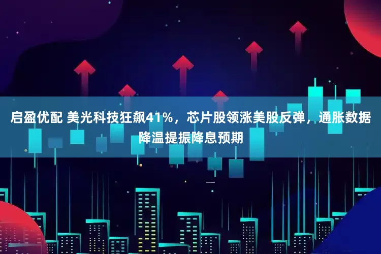 启盈优配 美光科技狂飙41%，芯片股领涨美股反弹，通胀数据降温提振降息预期