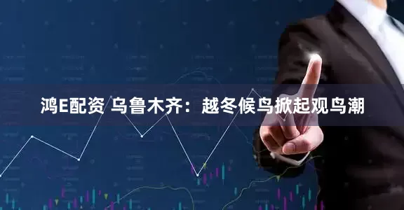 鸿E配资 乌鲁木齐：越冬候鸟掀起观鸟潮