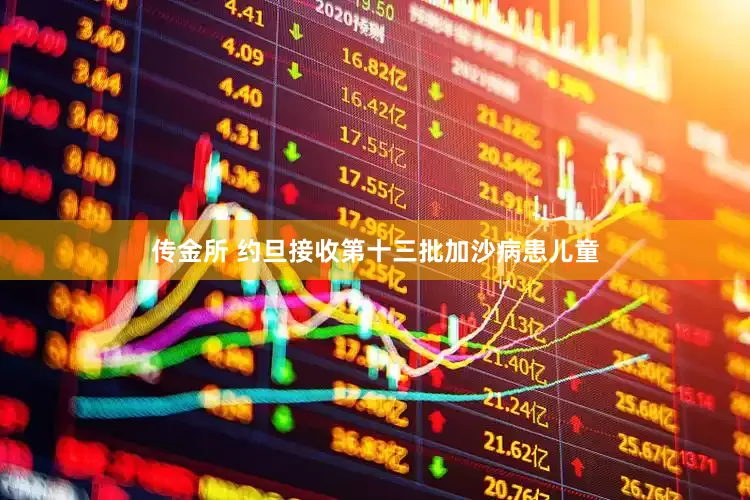 传金所 约旦接收第十三批加沙病患儿童